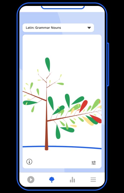 The Tassomai Tree showing Latin knowledge growing