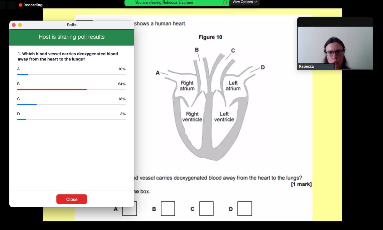 Live Lesson screenshot