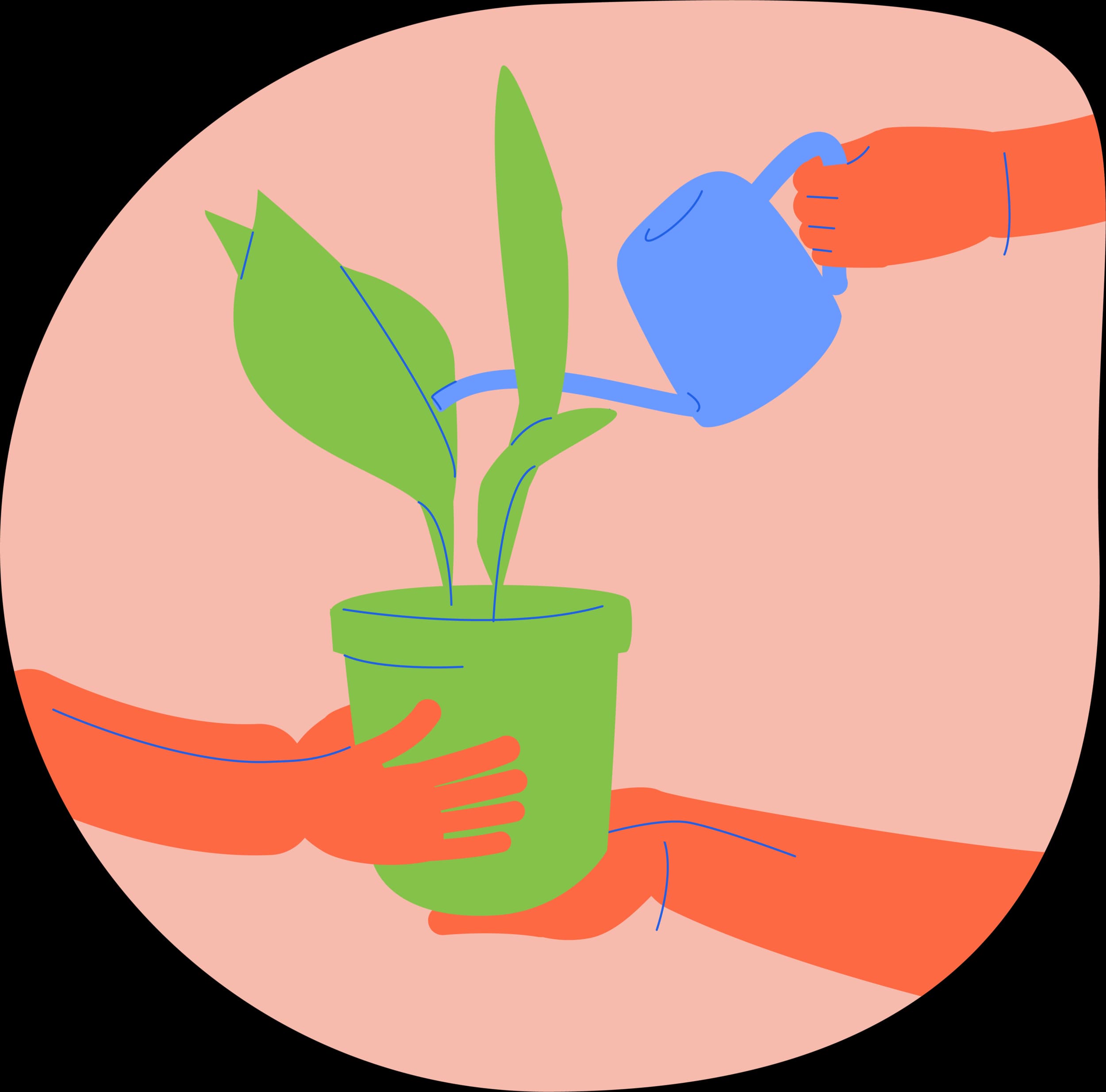 Illustration of hands watering a growing plant