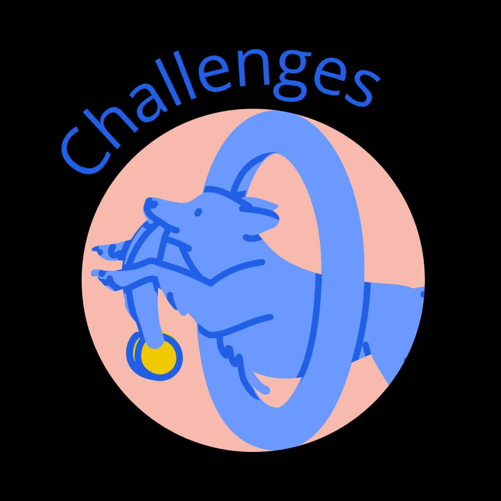 Challenges