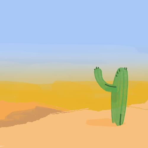 Cactus in a desert