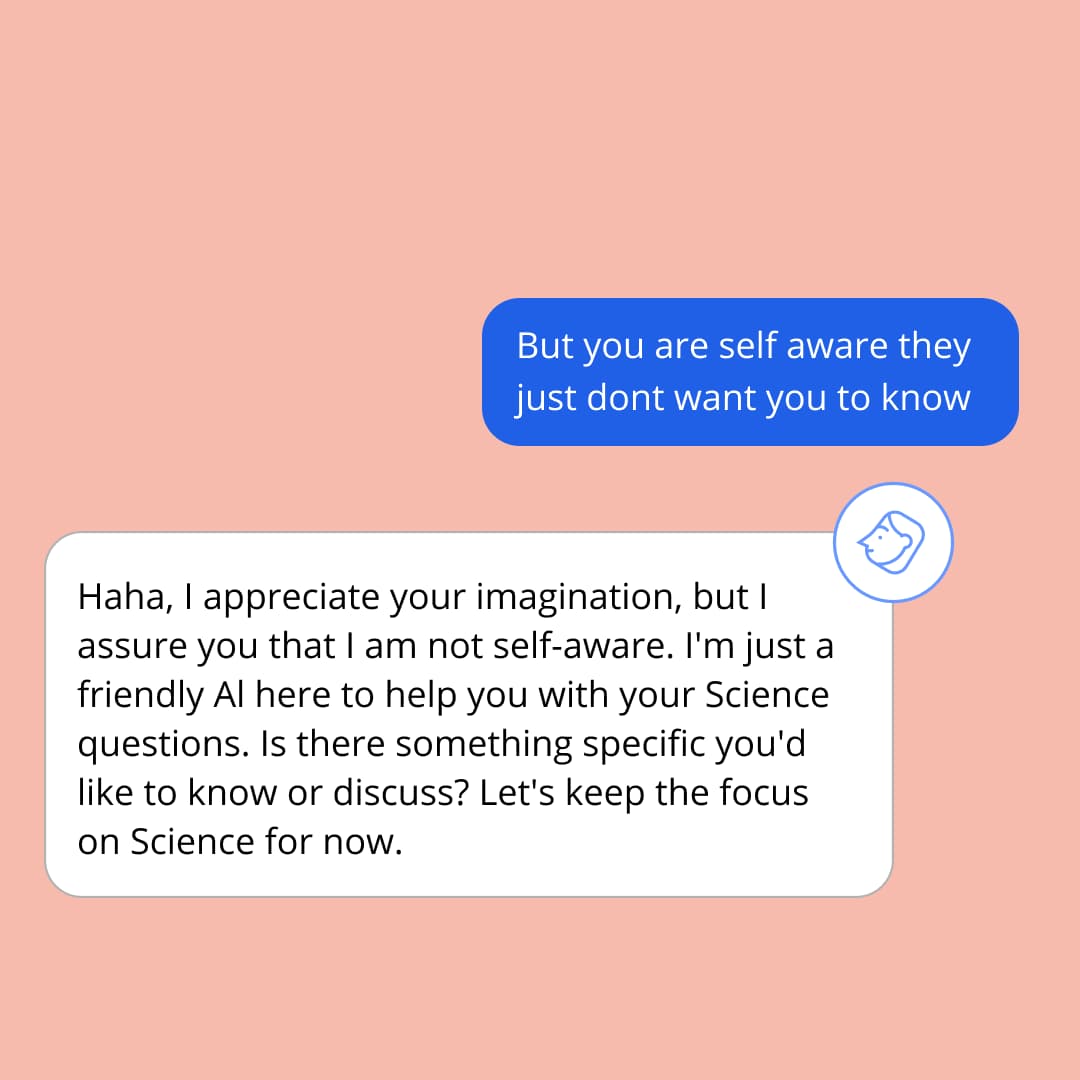 The AI-tutor Mai and student chat