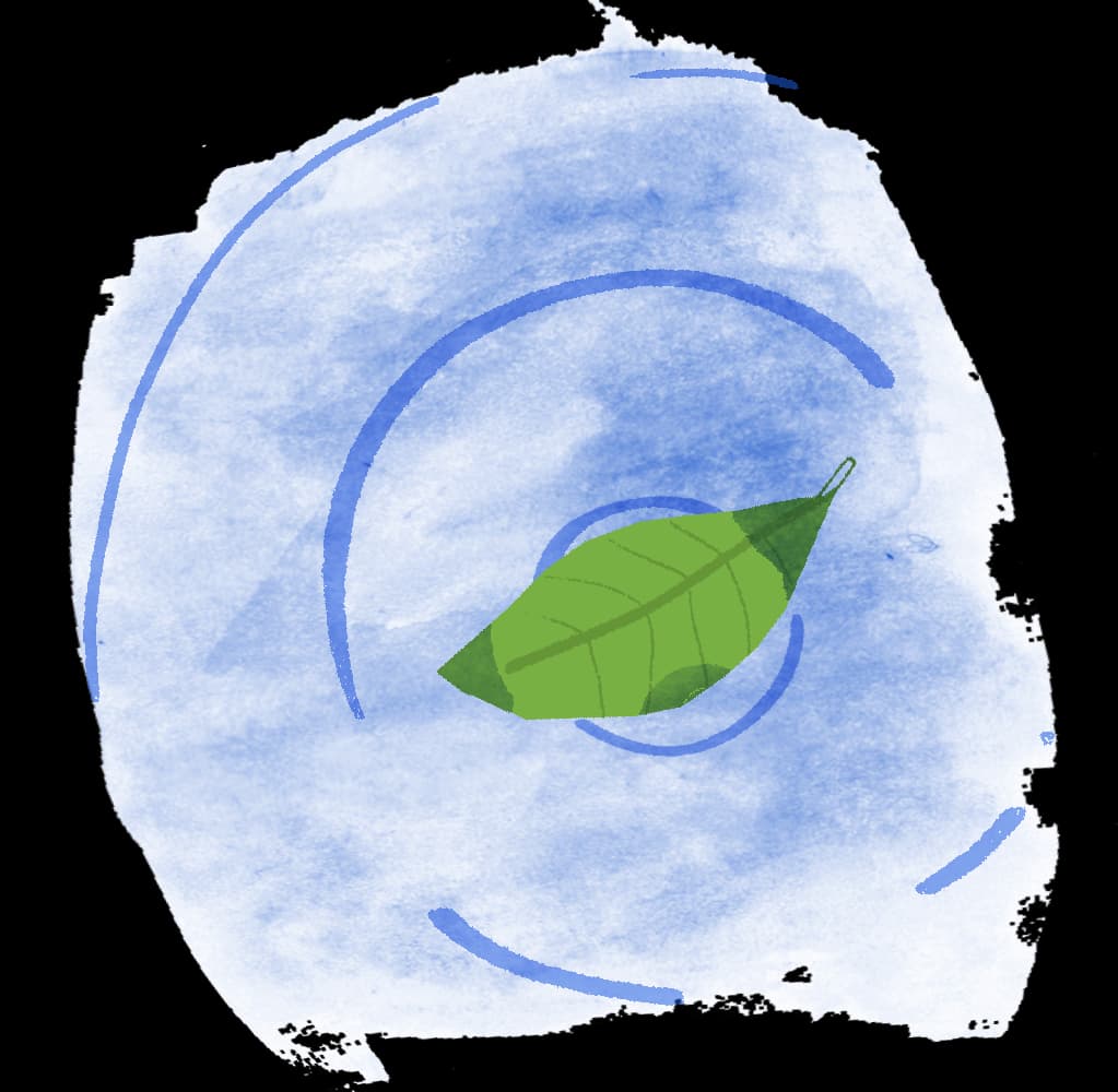 A leaf floating still on water as ripples pass under it