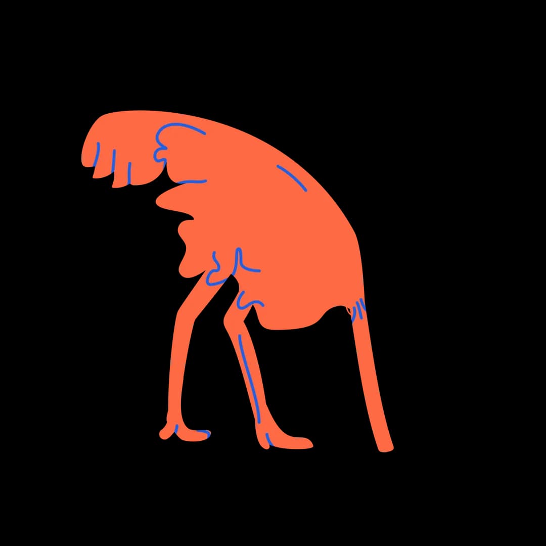 Illustration of an ostrich