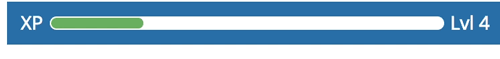 Experience points bar on a student dashboard