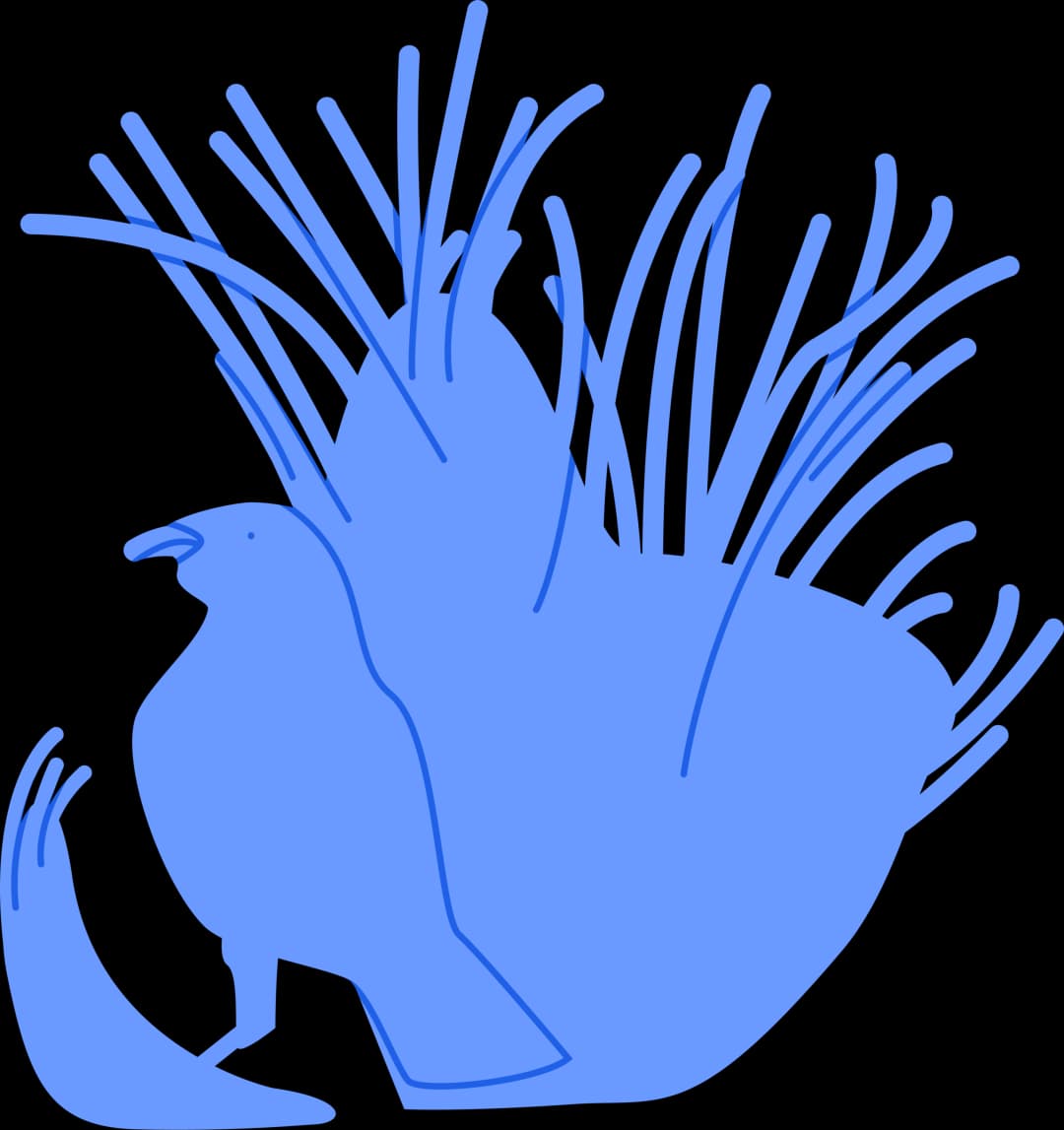 Illustration of a bower bird