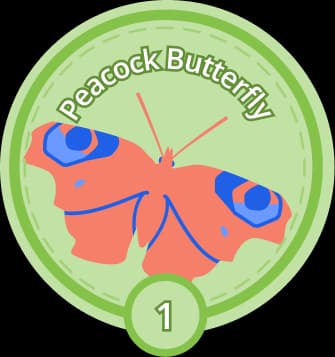 Peacock Butterfly Tassimals sticker