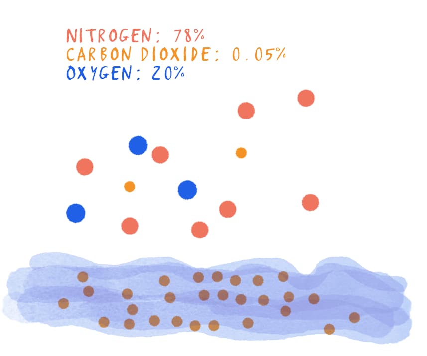 The Earth’s Atmosphere now - oxygen levels have increased slightly due to photosynthesis, while carbon dioxide levels have decreased drastically as it dissolved in the sea. Nitrogen levels have remained basically the same