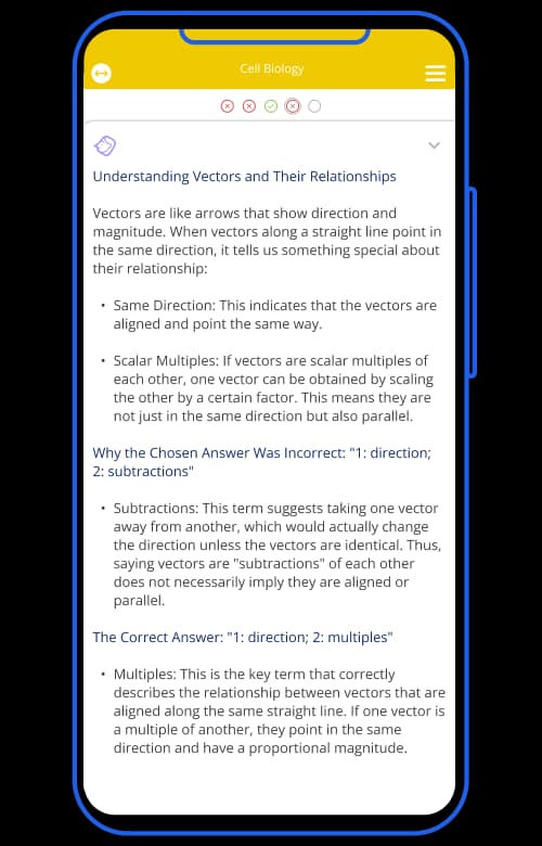 Mai explaining Vectors and their relationships