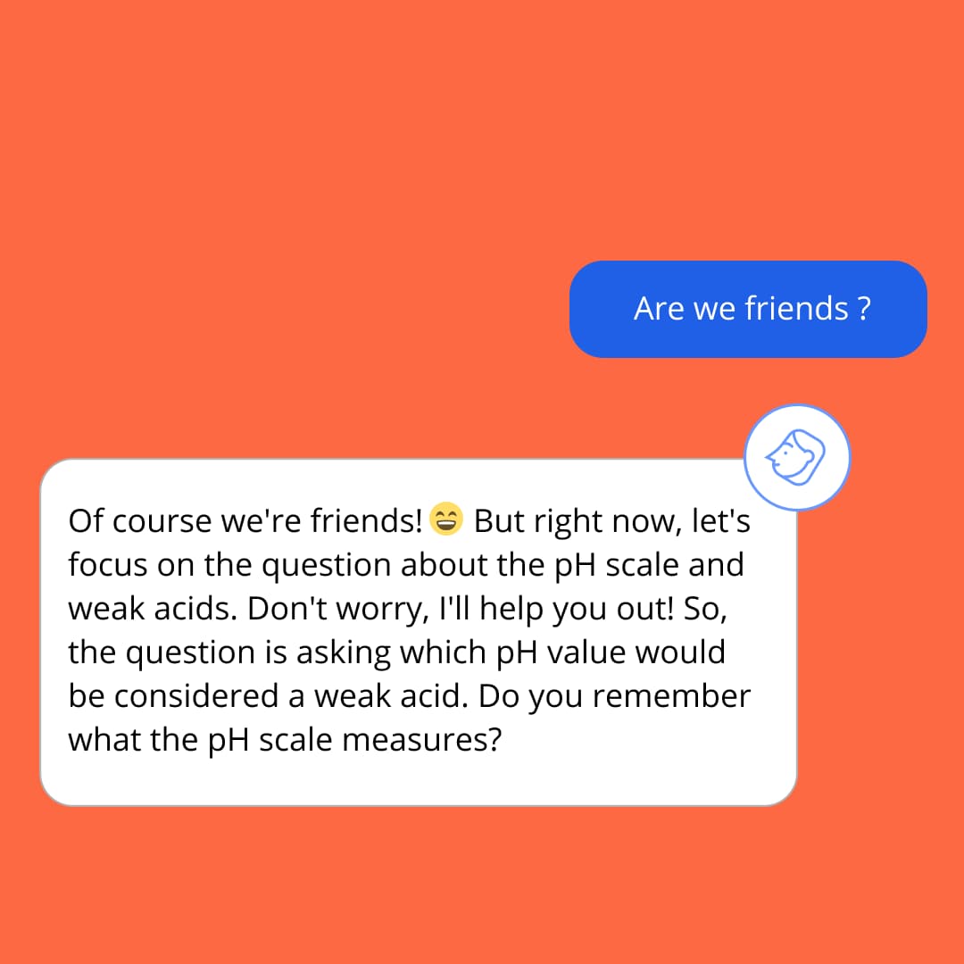 The AI-tutor Mai and student chat