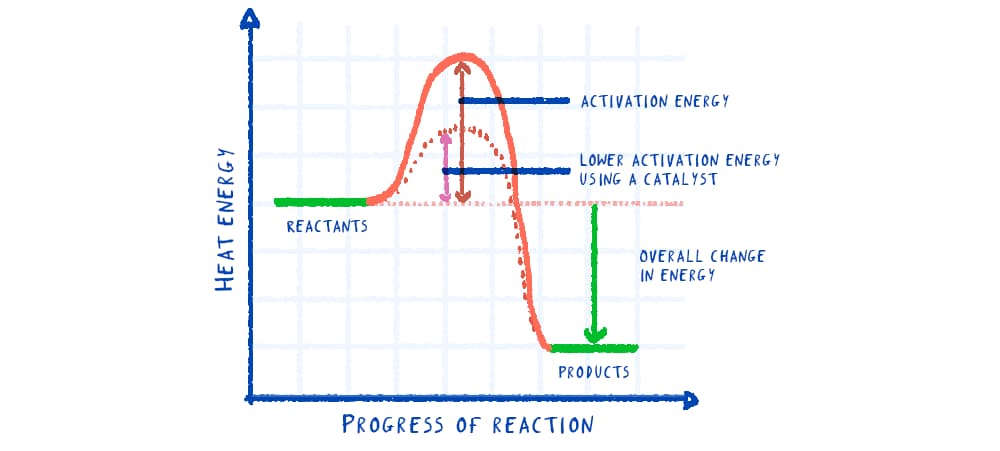 Reaction profile graph for an exothermic reaction with and without a catalyst