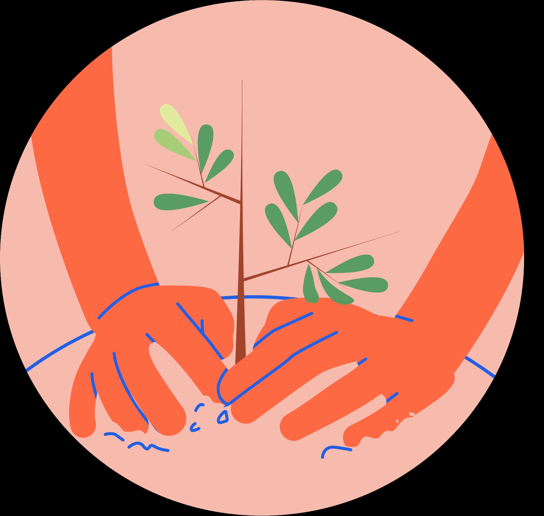 The Tassomai Tree