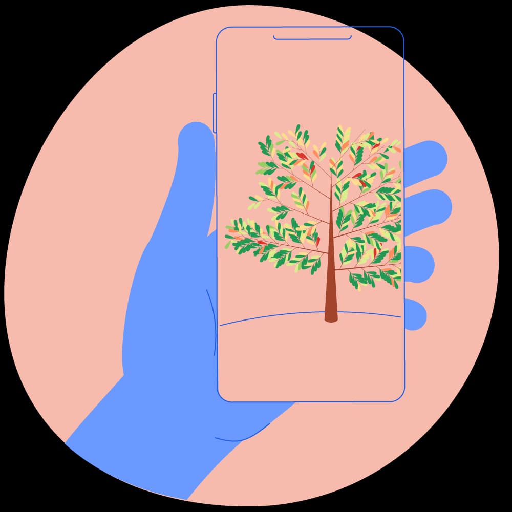 The Tassomai Tree