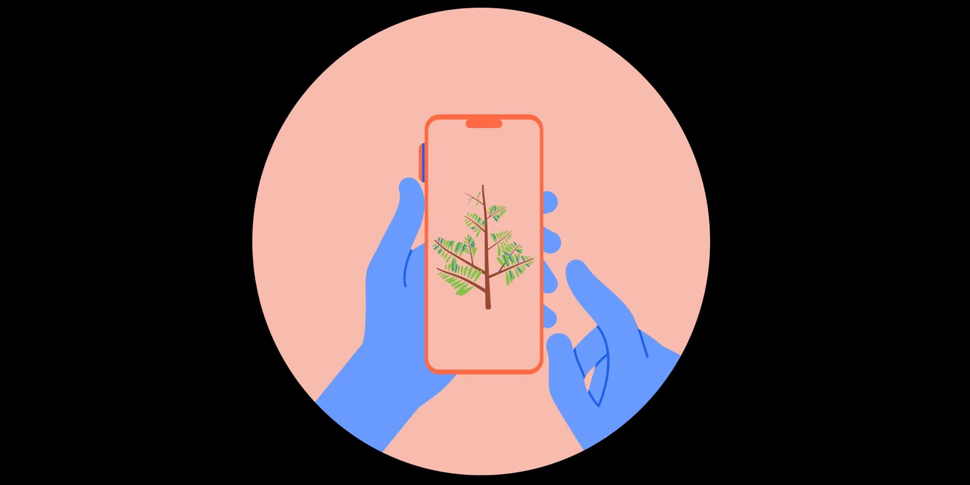Introducing: The New Teacher Mobile App!