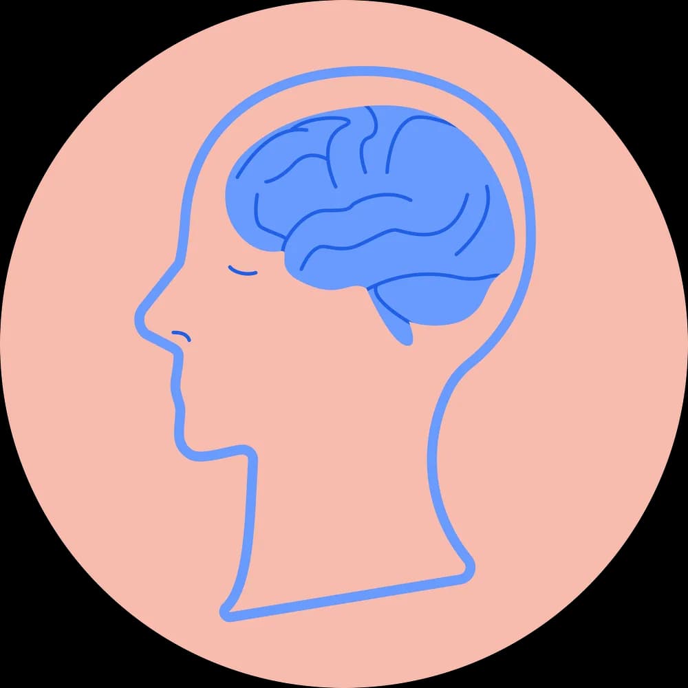 British Science Week 2023 – Connections: Building Long-Lasting Knowledge through Retrieval Practice